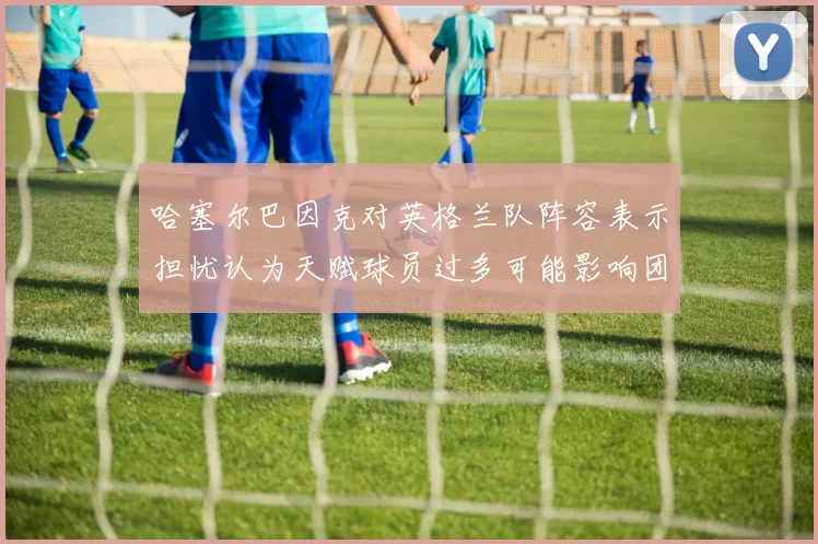 哈塞尔巴因克对英格兰队阵容表示担忧认为天赋球员过多可能影响团队合作